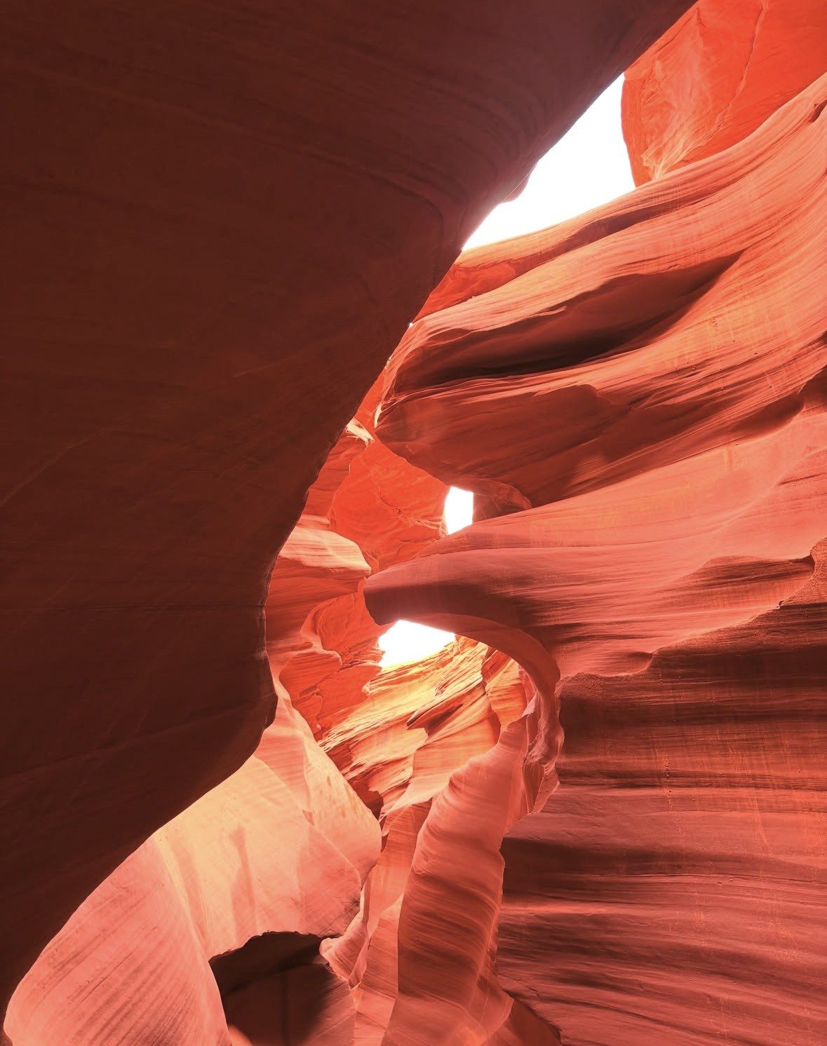 Sunlit red rock curves framing a slot of sky above